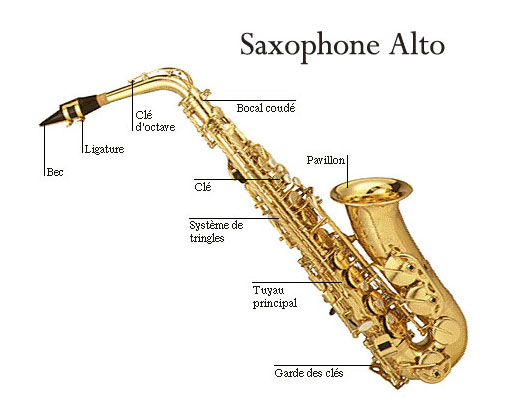Le saxophone